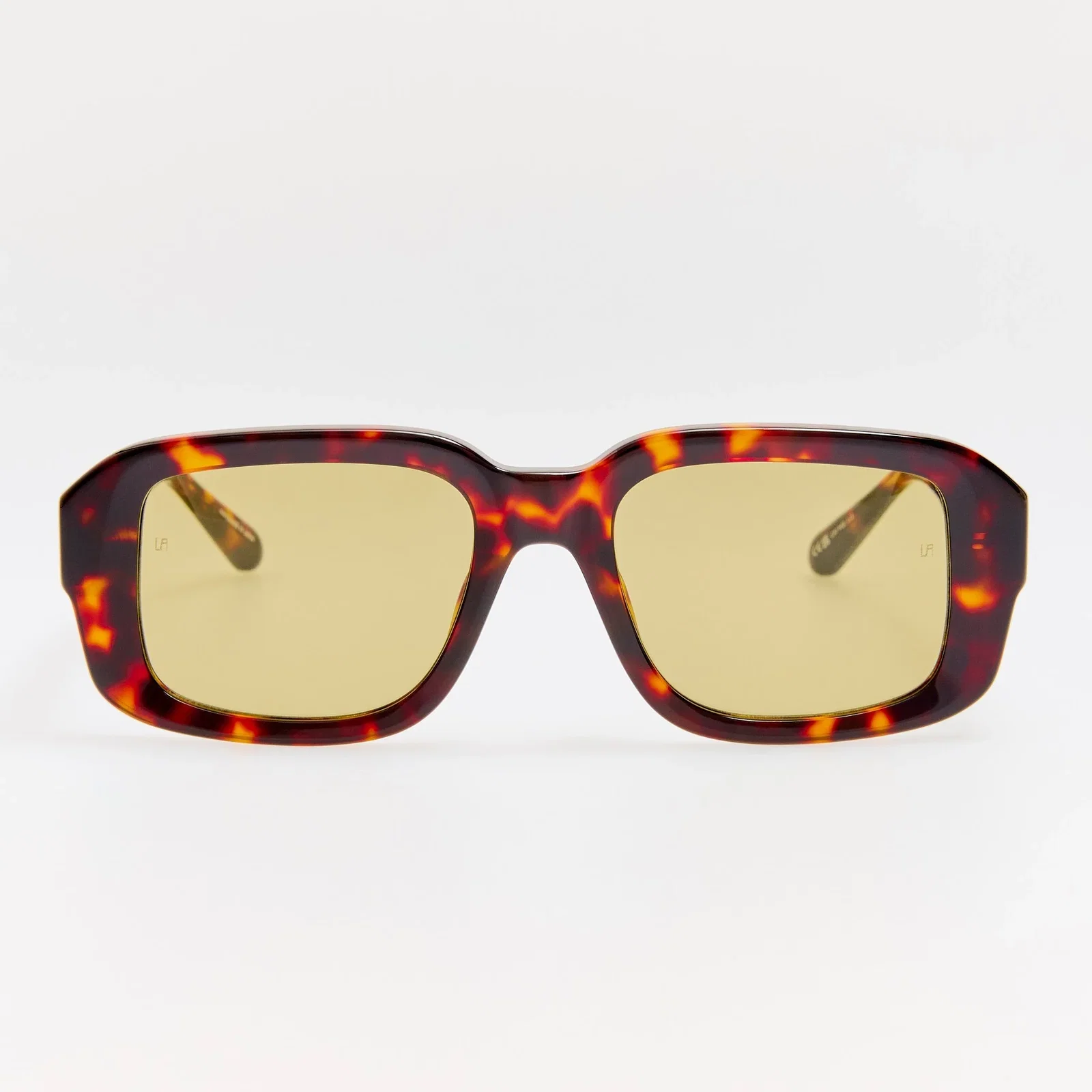 Image of Delmare Sunglasses in Tortoiseshell and Brown Barberini® Photochromatic Transition Lenses
