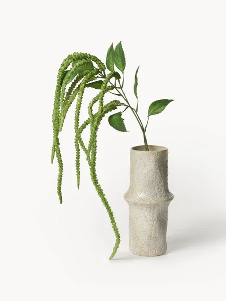 Rama artificial Forks Amaranthus