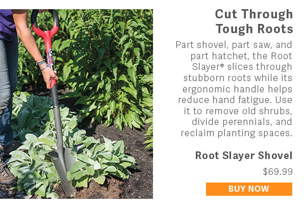 Cut Through Tough Roots  Part shovel, part saw, and part hatchet, the Root Slayer® slices through stubborn roots while its ergonomic handle helps reduce hand fatigue. Use it to remove old shrubs, divide perennials, and reclaim planting spaces.