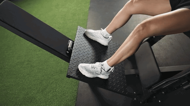 Titan Fitness