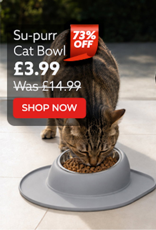 Su-purr Cat Bowl