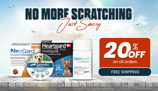 20% Off Your Order