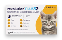 Revolution Plus