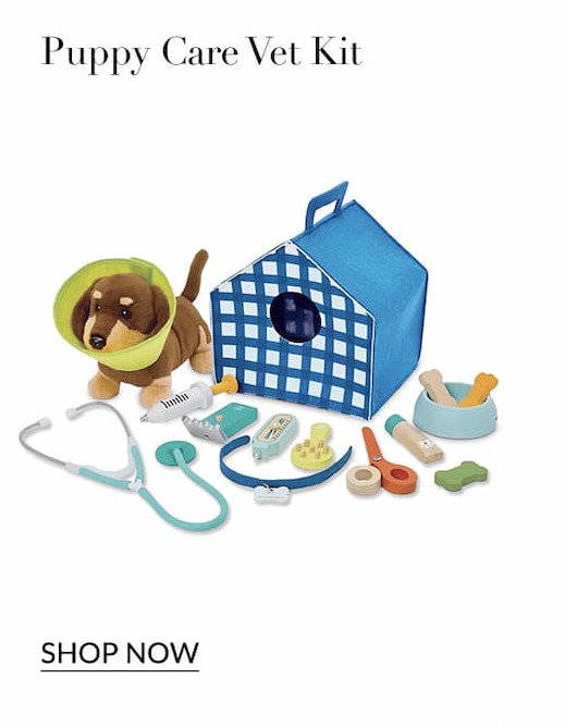 Puppy care vet kit