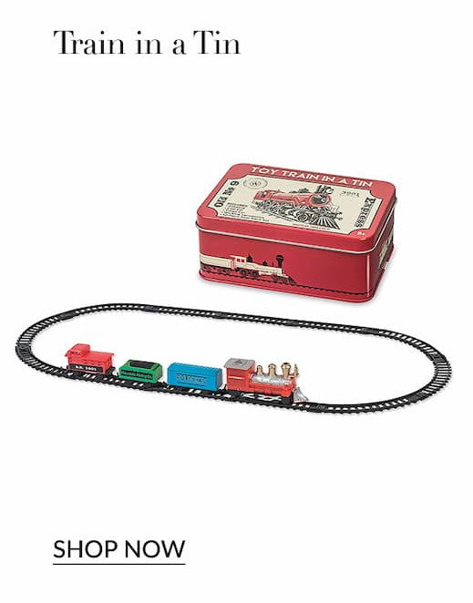 Train in a tin