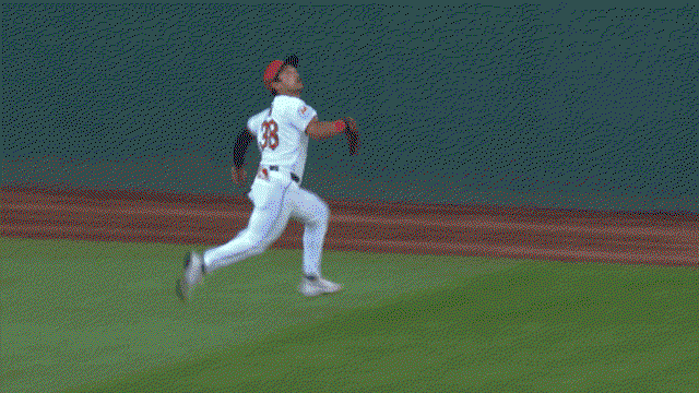 An animated gif of Steven Kwan making a running catch before crashing into the wall