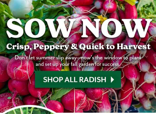SOW NOW, CRISP, PEPPERY & QUICK TO HARVEST