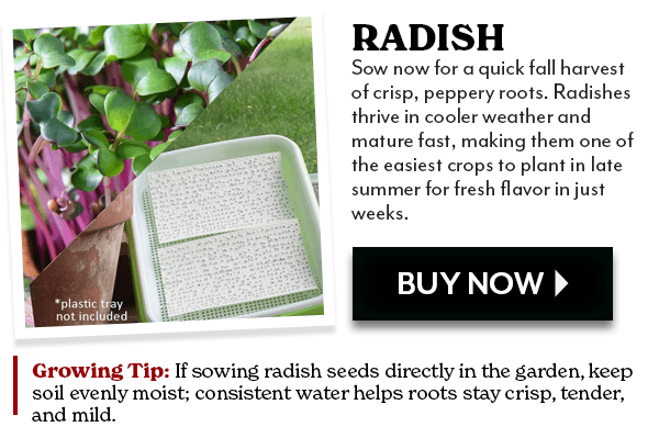 Sow Effortless Collection™ Organic Radish Sangria Microgreen Seed Mat
