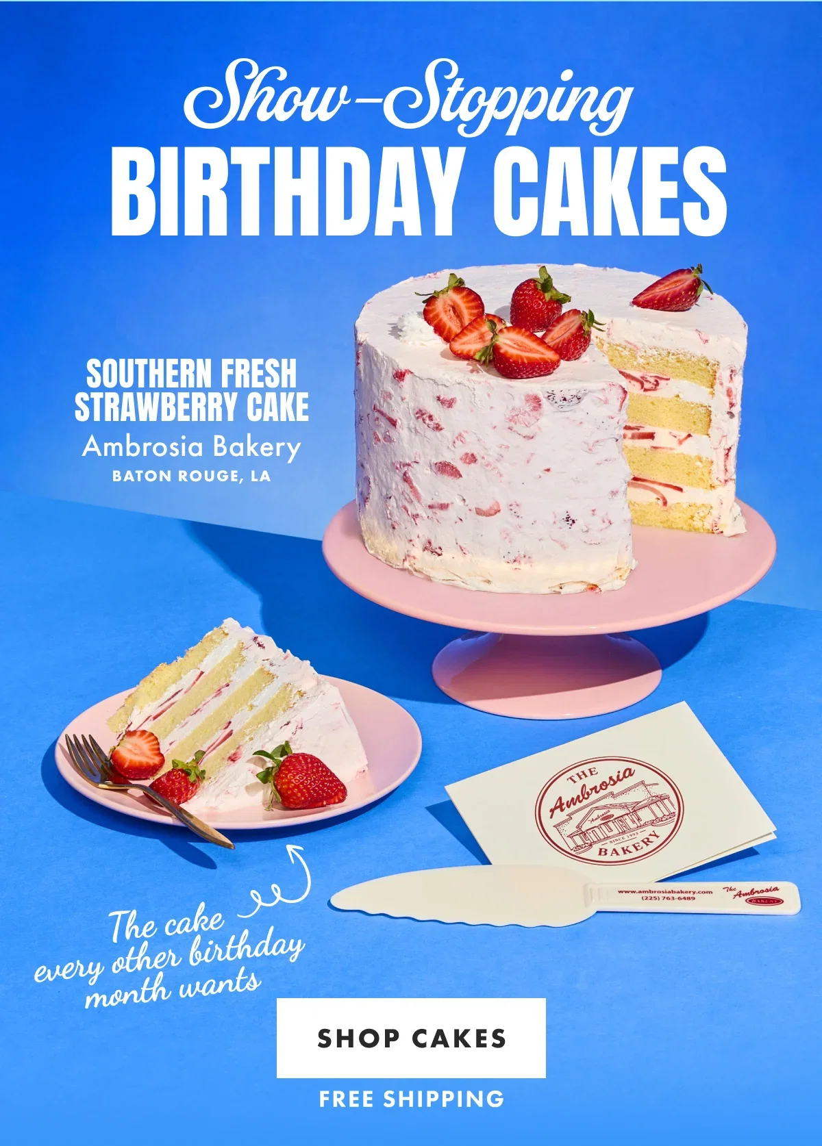 Birthday Cakes