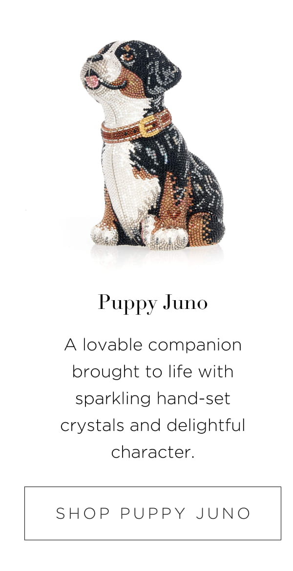 Puppy Juno