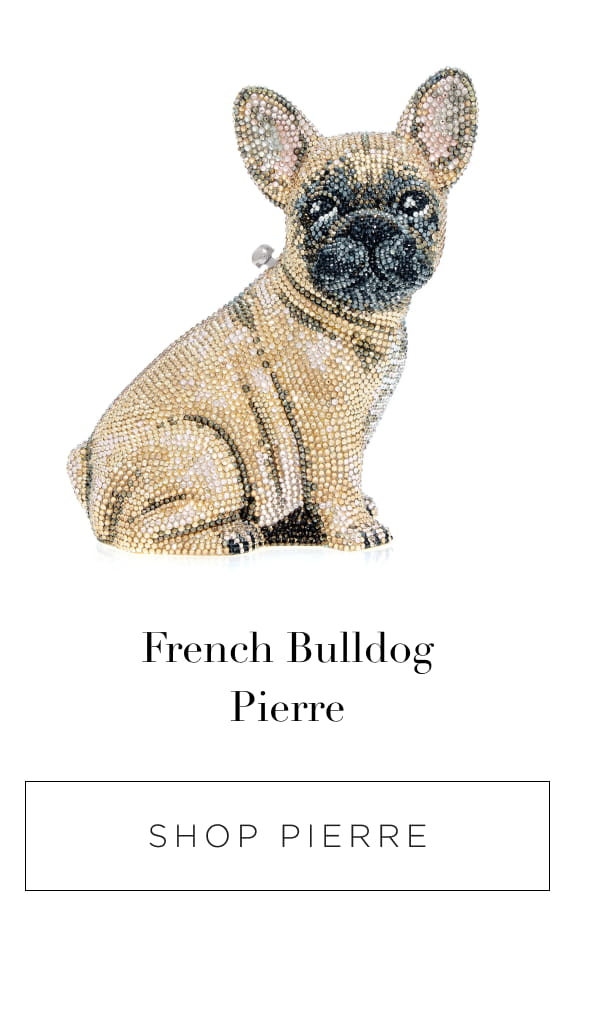 French Bulldog Pierre
