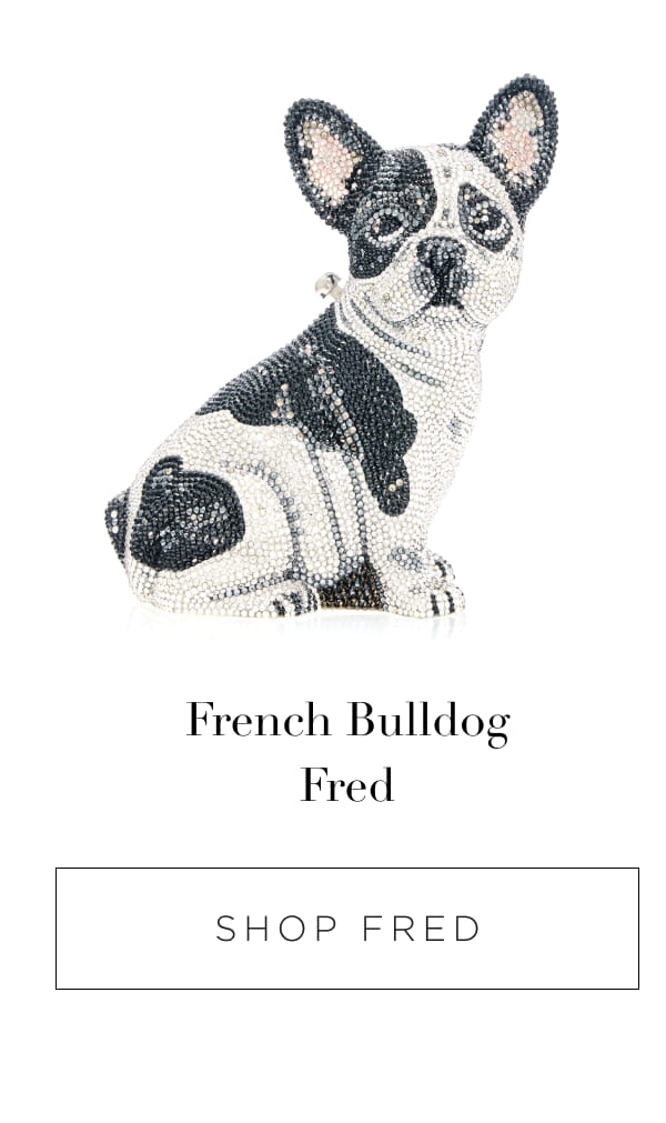 French Bulldog Fred