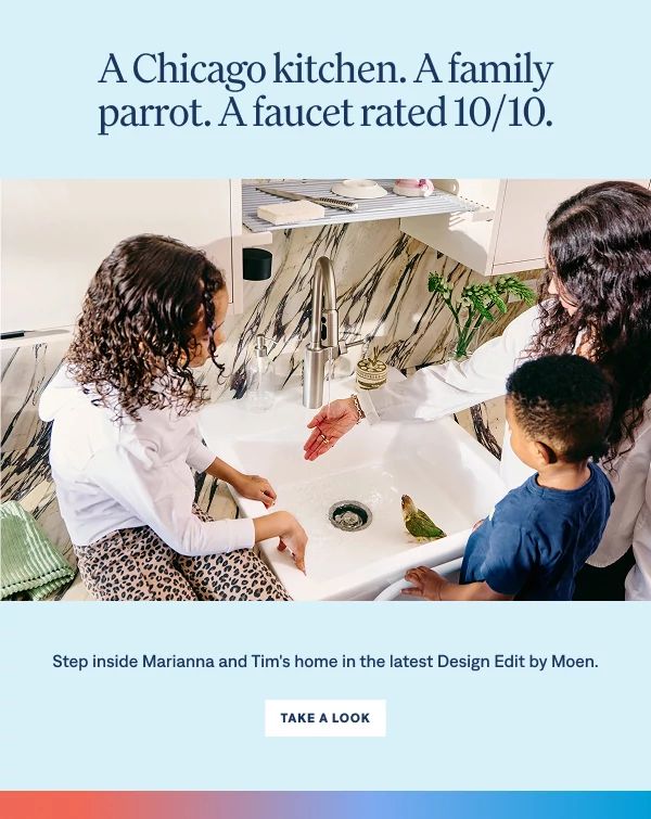 A Chicago kitchen.  A family parrot. A faucet rated 10/10
