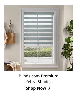 Blinds.com Premium Zebra Shades | Shop Now >