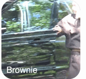 Brownie