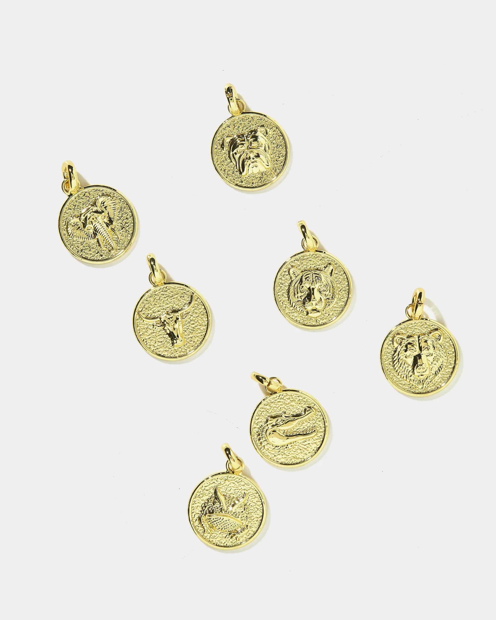Image of Mascot Charm