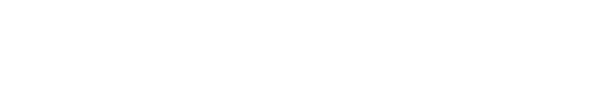 TENGA STORE USA Logo