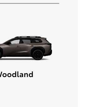 bZ Woodland
