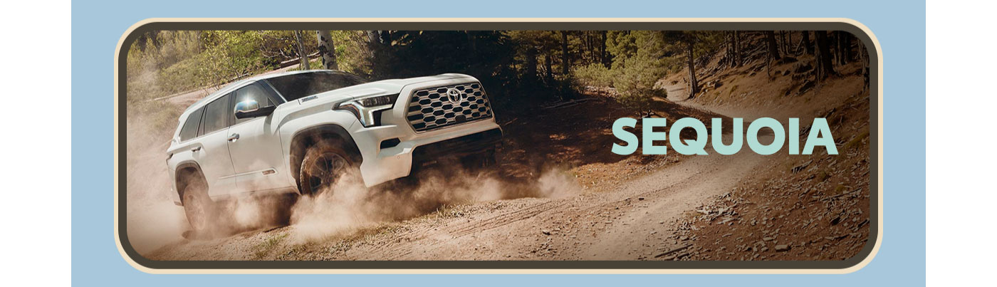 Sequoia. A white Sequoia powers up a dirt mountain road lined with tall pines. Explore Sequoia.