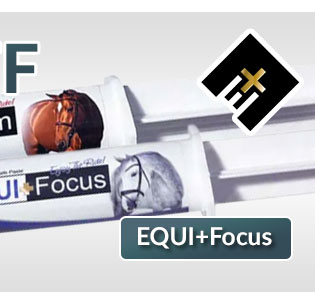 Equi+Focus calming paste sale