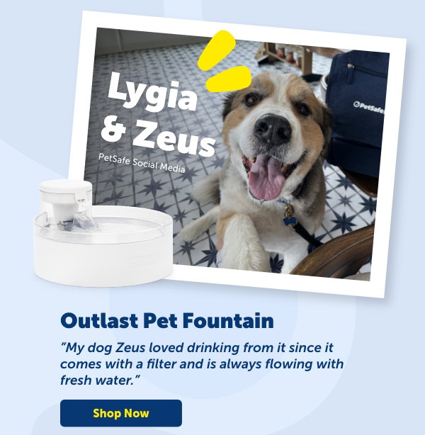 Shop Lygia & Zeus's Pick: Outlast Pet Fountain
