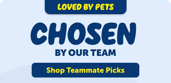 Loved by Pets, Chosen by Our Team - Shop Teammate Picks