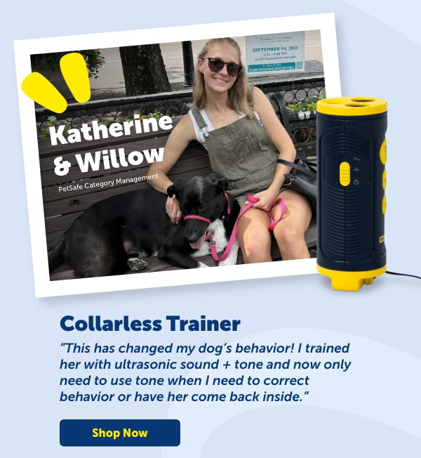 Shop Katherine & Willow's Pick: Collarless Trainer