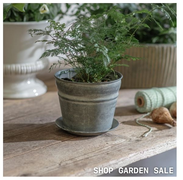 Shop Garden Sale