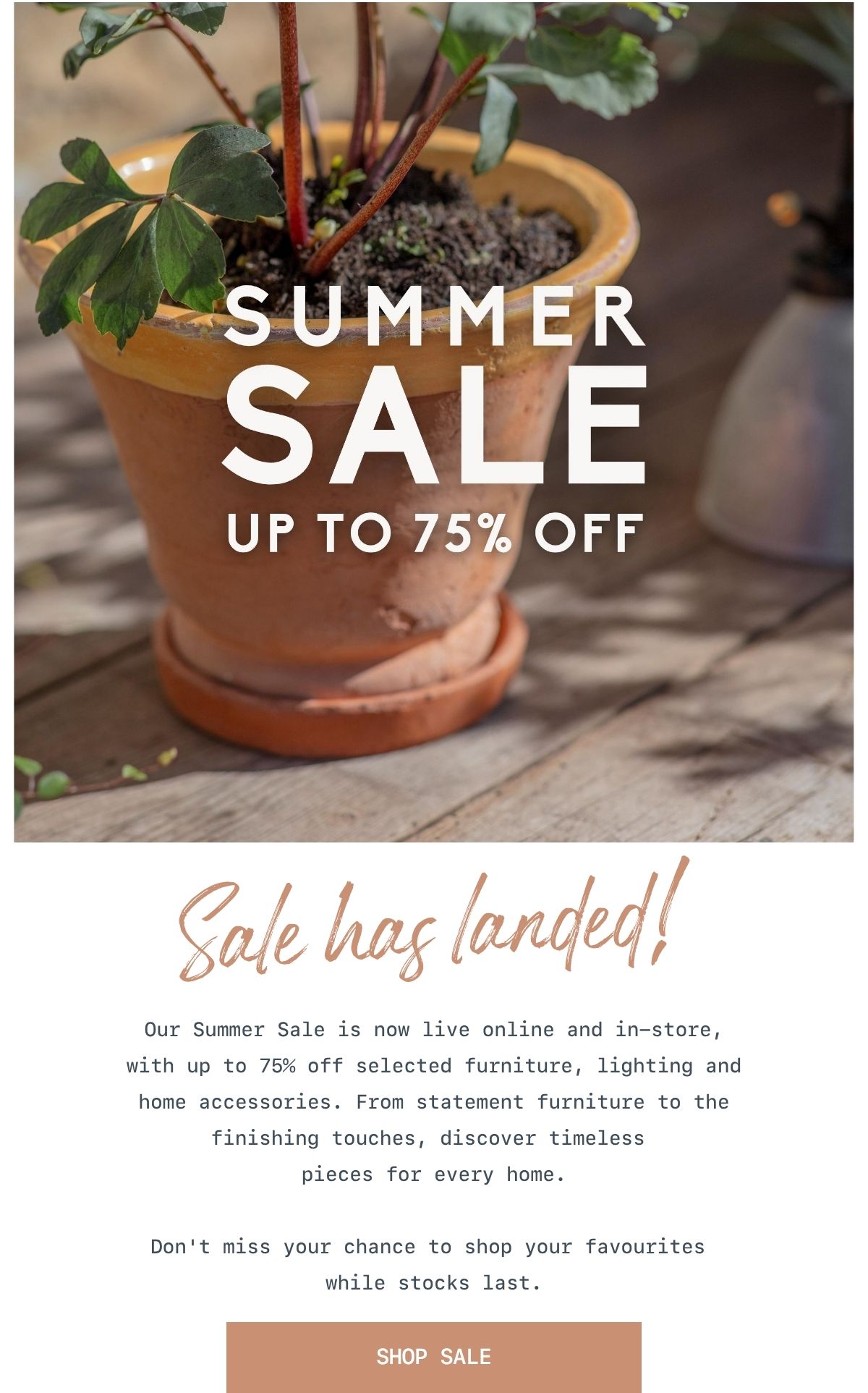 Summer Sale Has Landed!