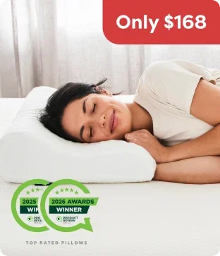 Shop Ecosa Pillow