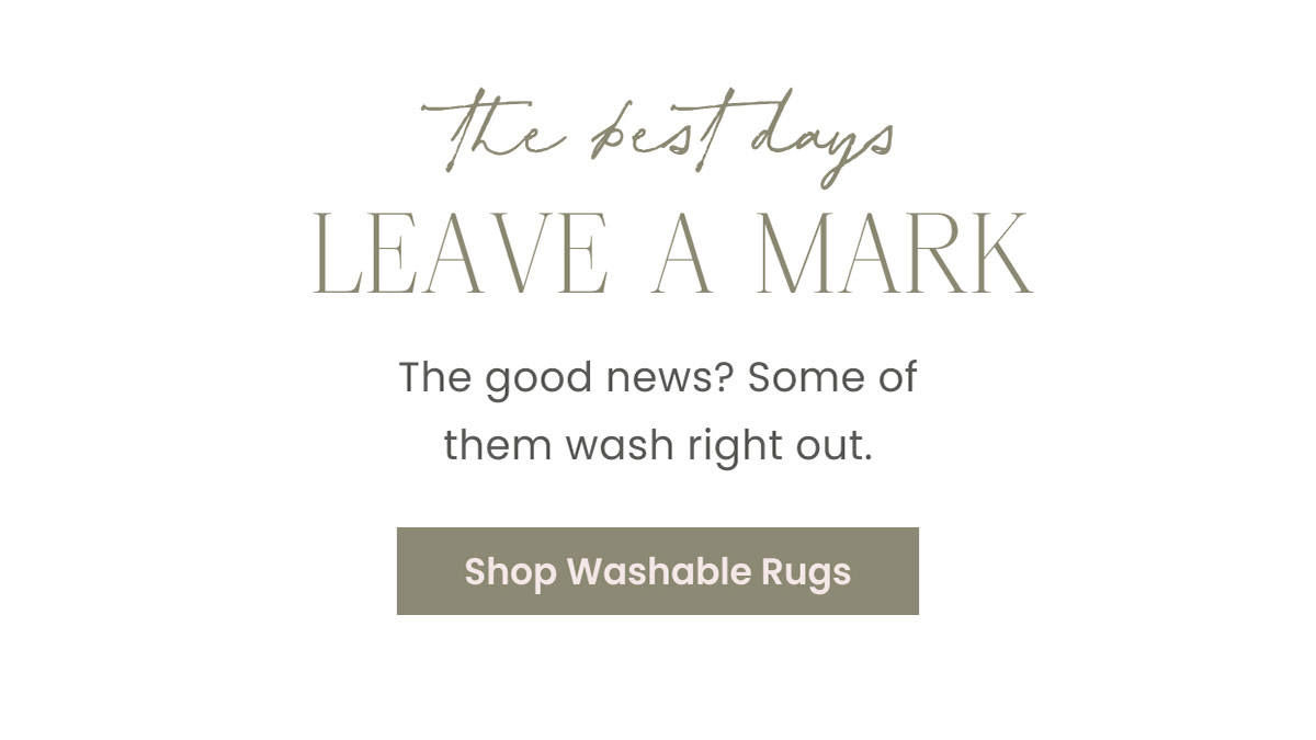 Shop Washable Rugs