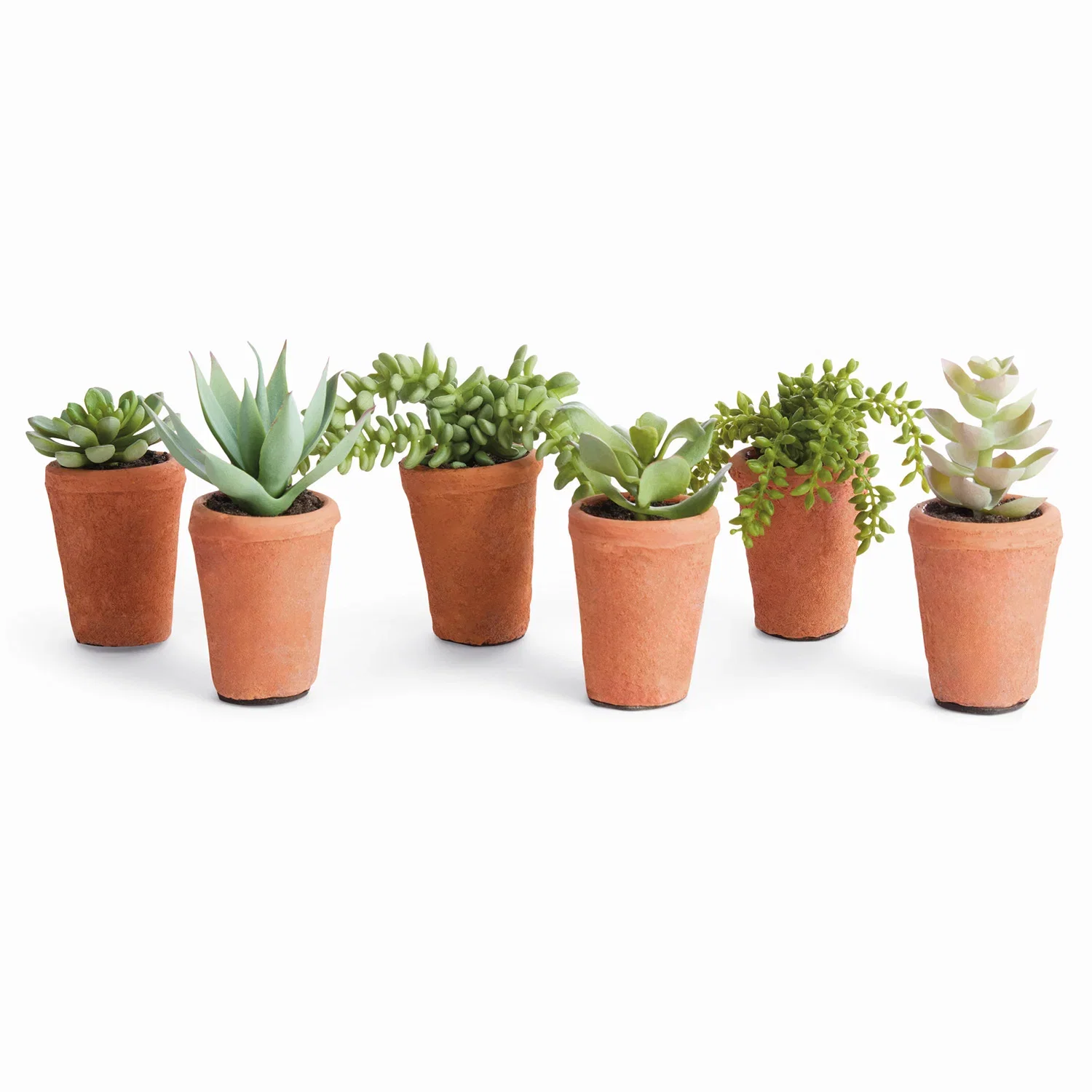 Image of Potted Succulents 8.5in Faux Plant Set of 6