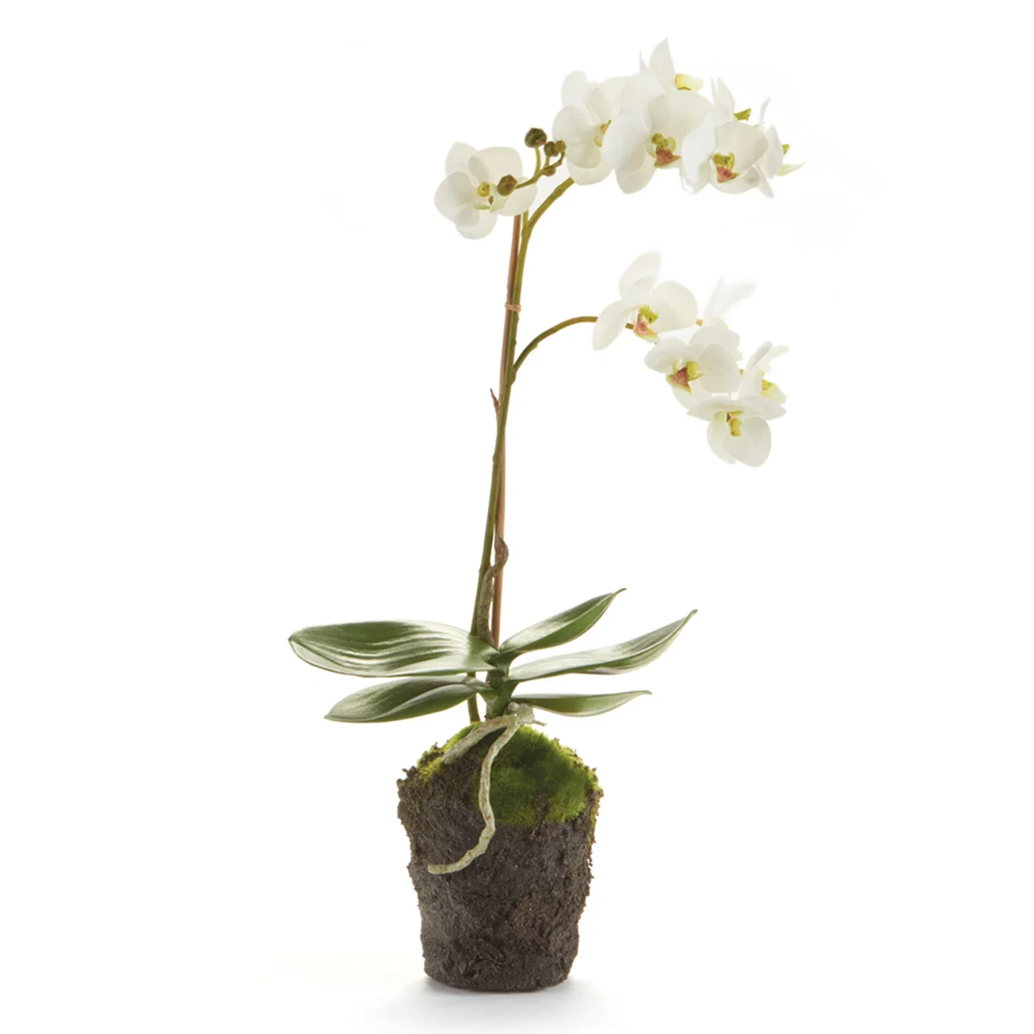 Image of Phalaenopsis Orchid 17in Drop-In Faux Plant