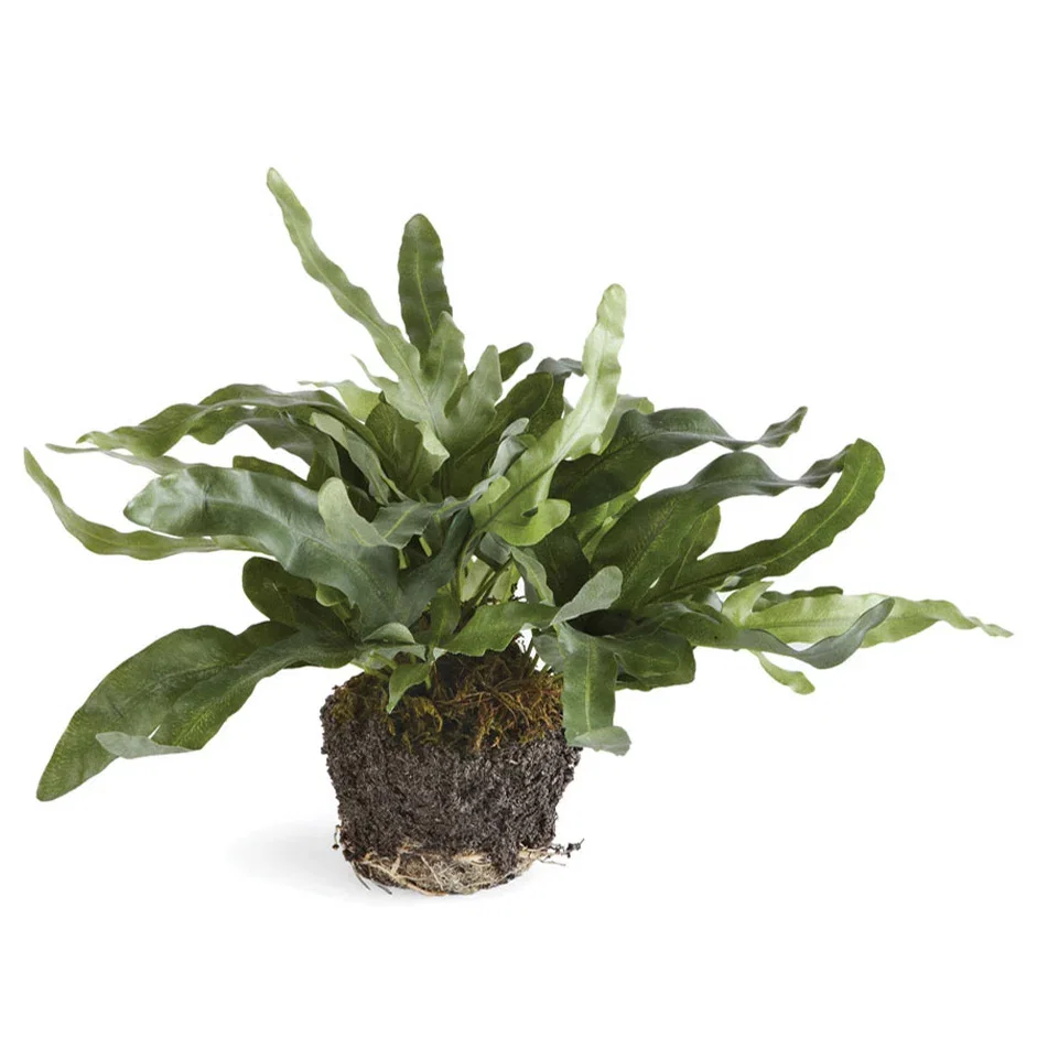 Image of Echeveria Fern Drop-In Faux Plant