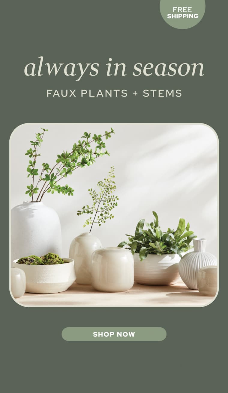 Shop new Faux Plants + Stems
