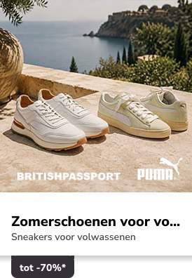 Campaign 6