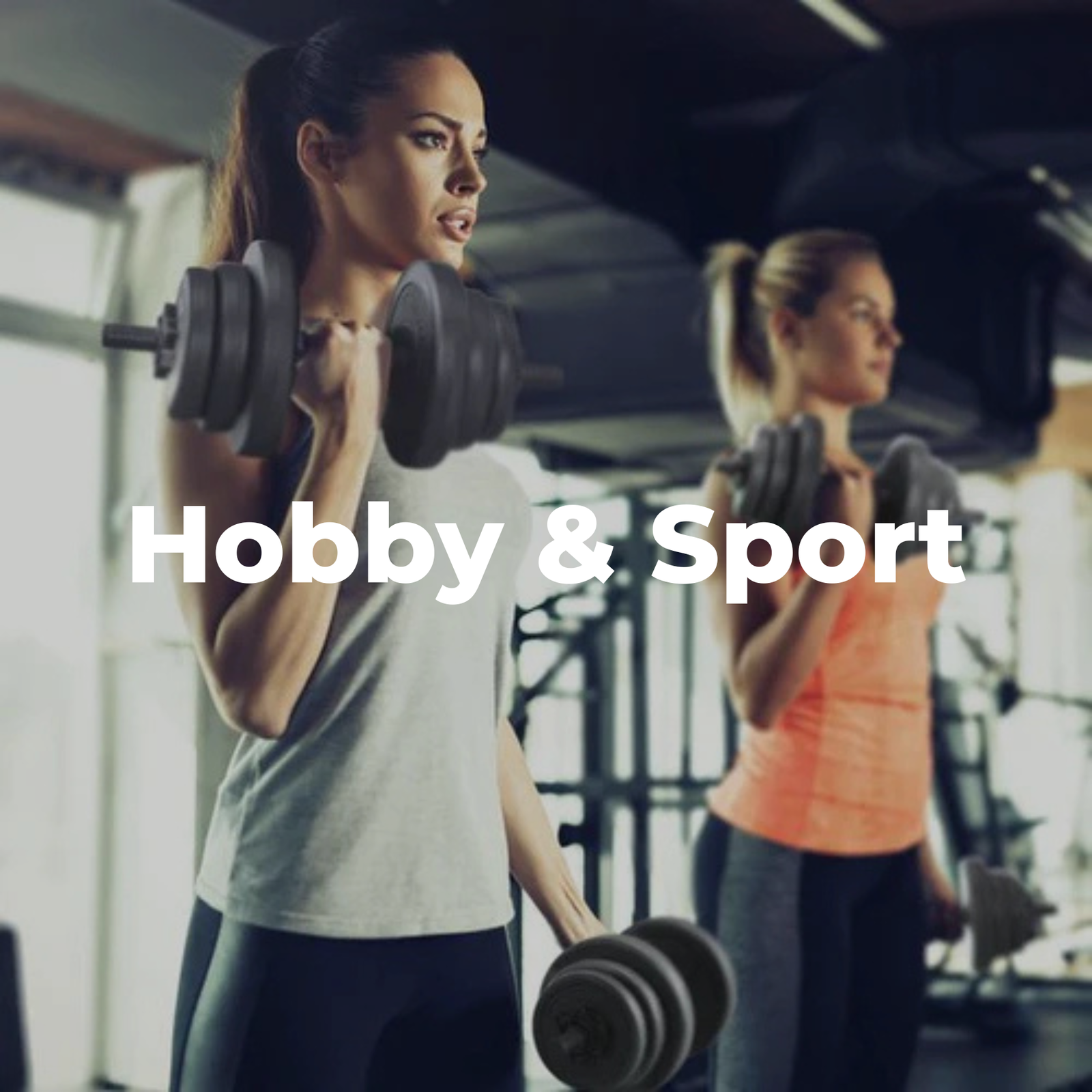 Hobby & Sport