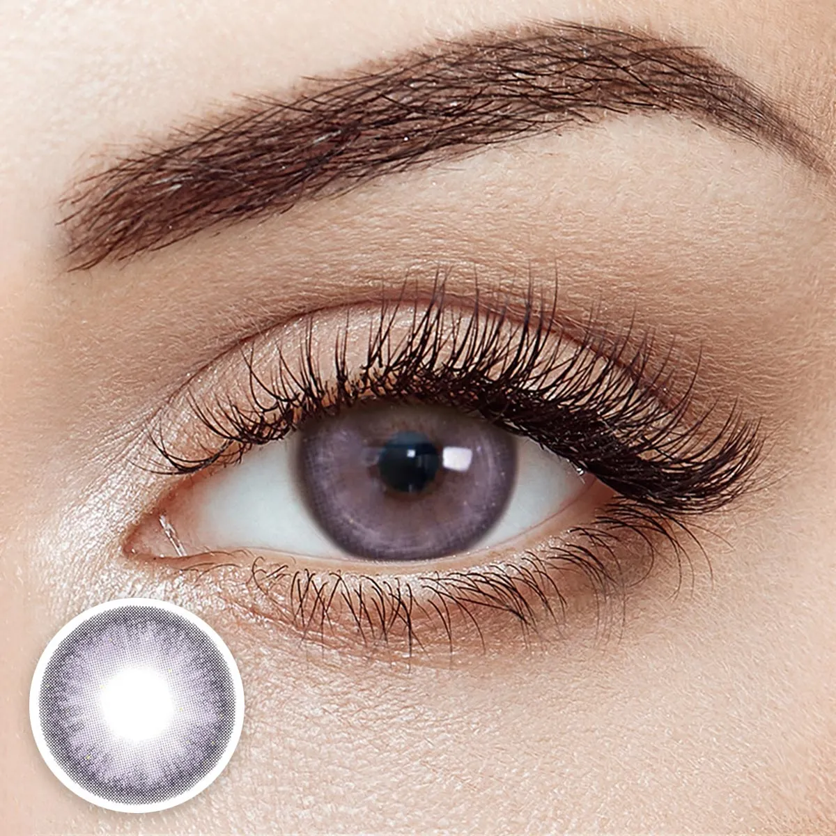 Miraitowa Violet 6 Months Contact Lenses