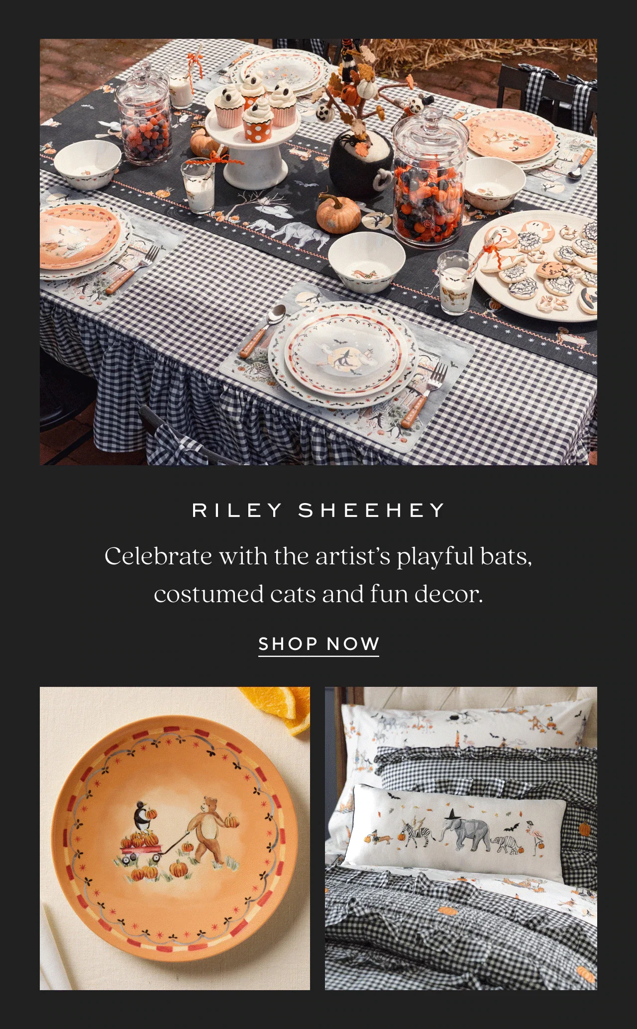 riley sheehey