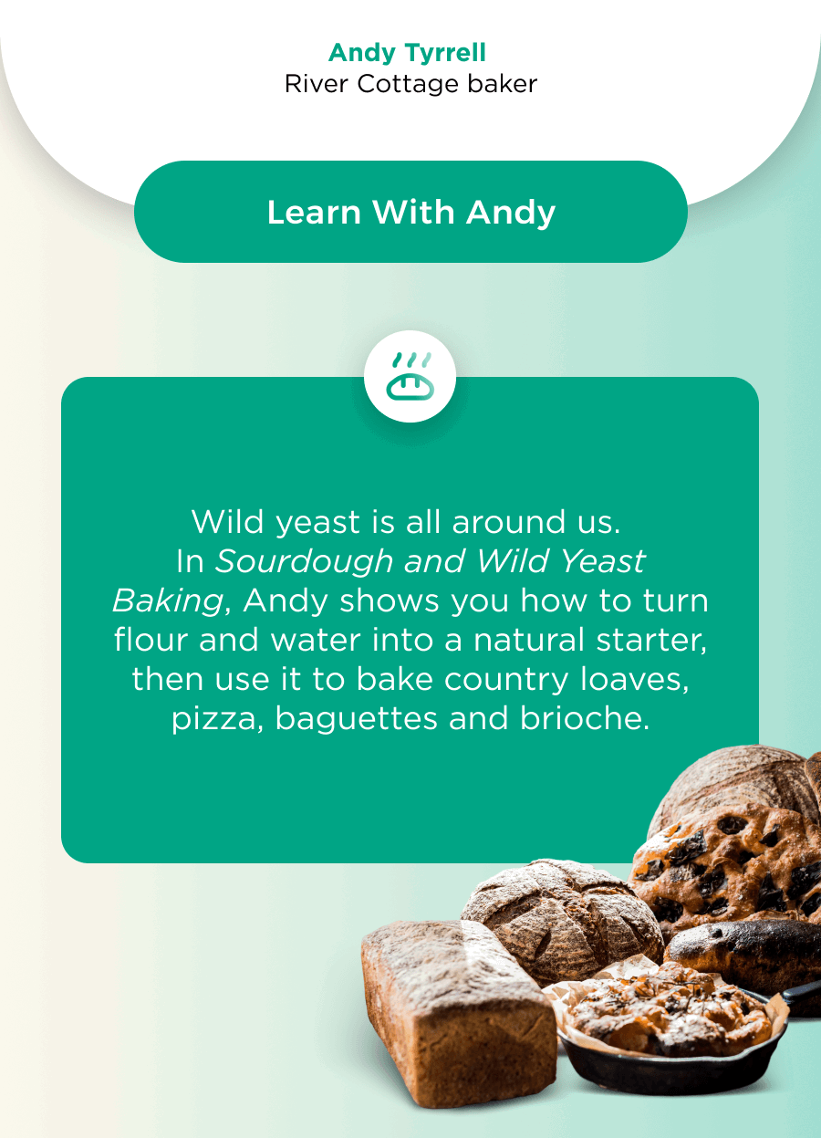 Learn With Andy