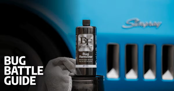 The Ultimate Bug Battle Guide: Understanding, Eliminating, and Preventing Pesky Splatter!