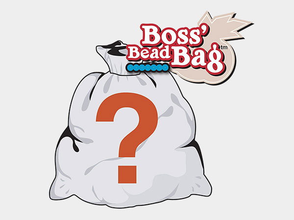 Boss’ Bead Bag
