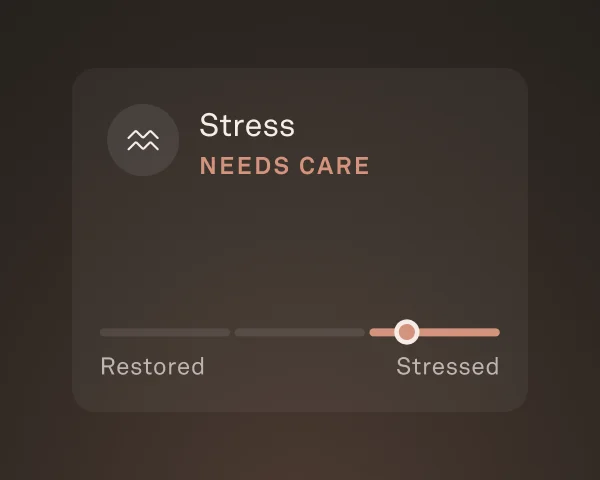 Stress level example in Oura App