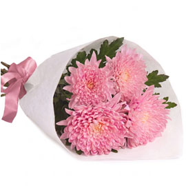 Save on Flowers