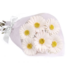 Save on Flowers