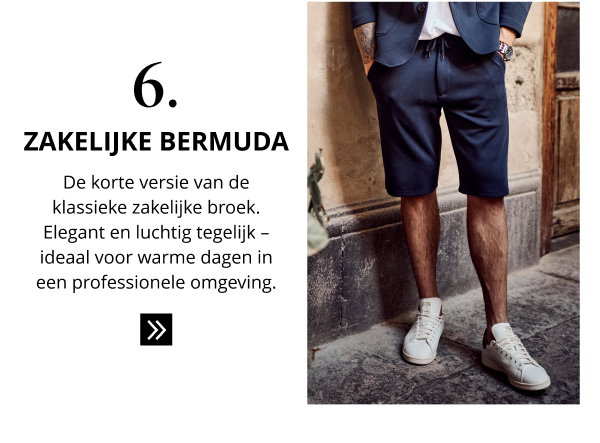6. Zakelijke Bermuda