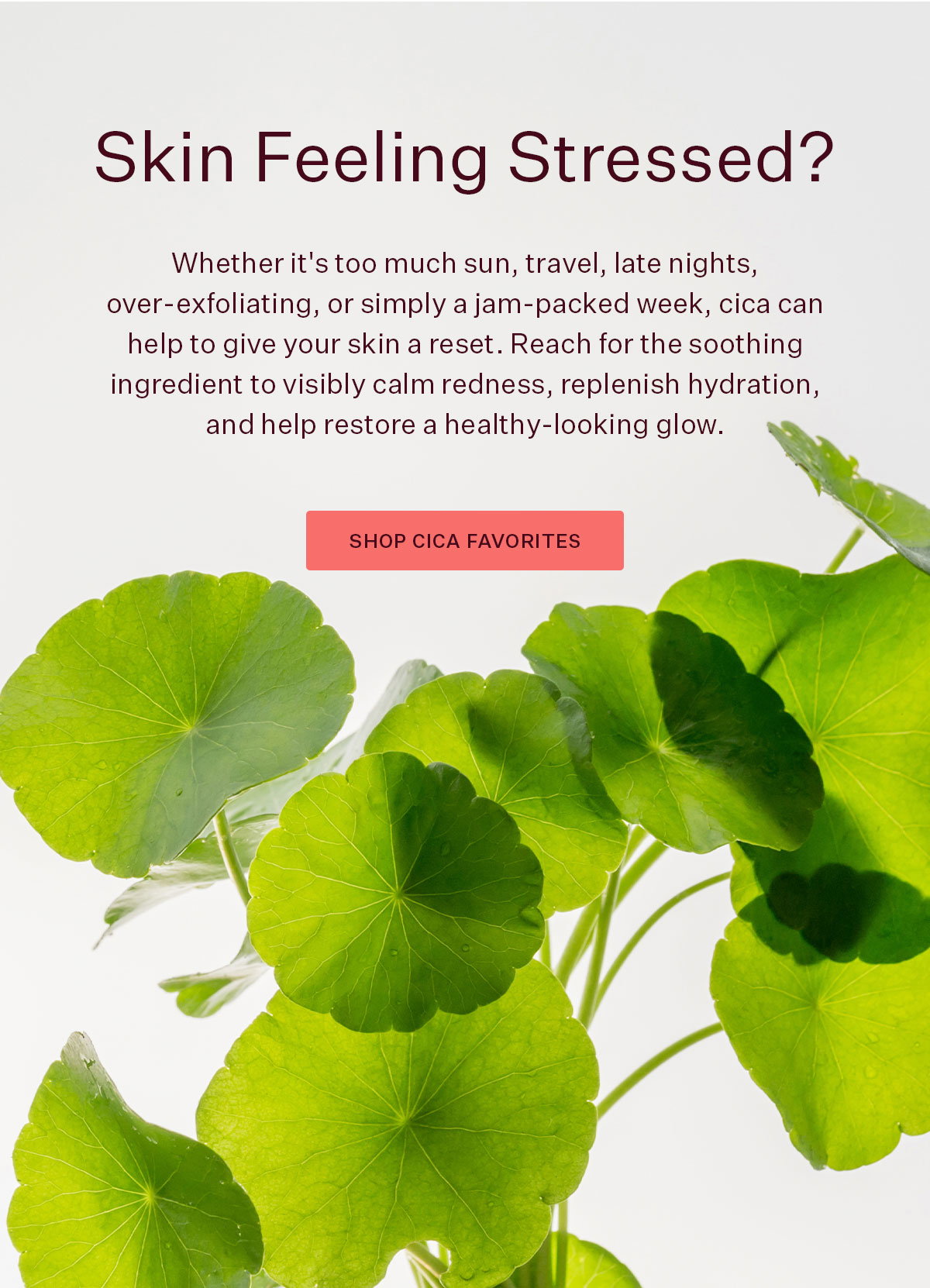 Skin Feeling Stressed?