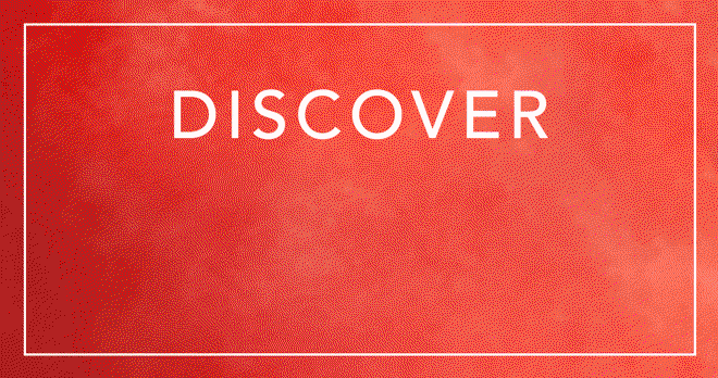Discover summer sale essentials