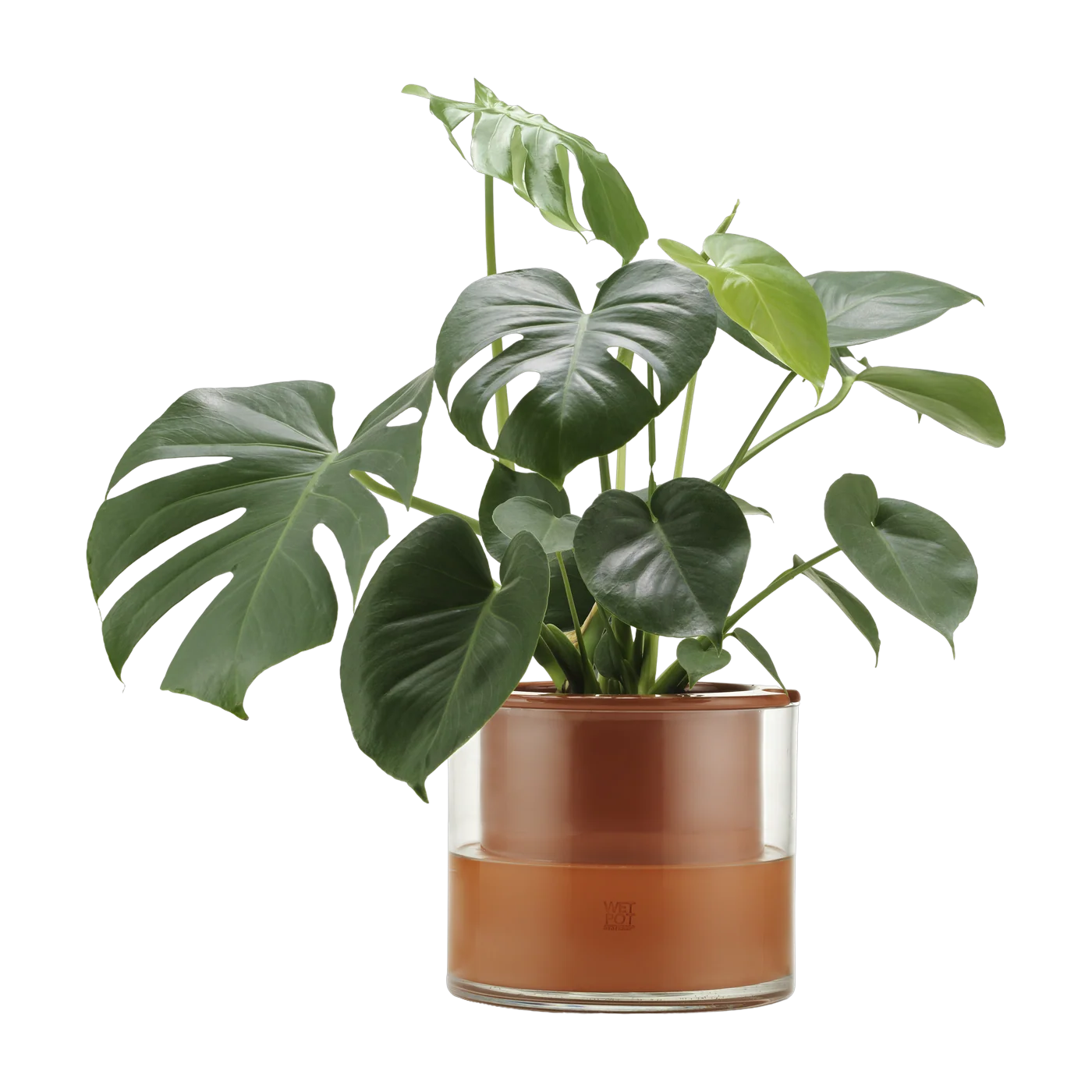 Image of Wet Pot