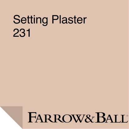 Farrow & Ball  Setting Plaster Paint Sample 231